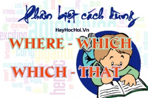 Phân biệt cách dùng where và which, which và that trong mệnh đề quan hệ